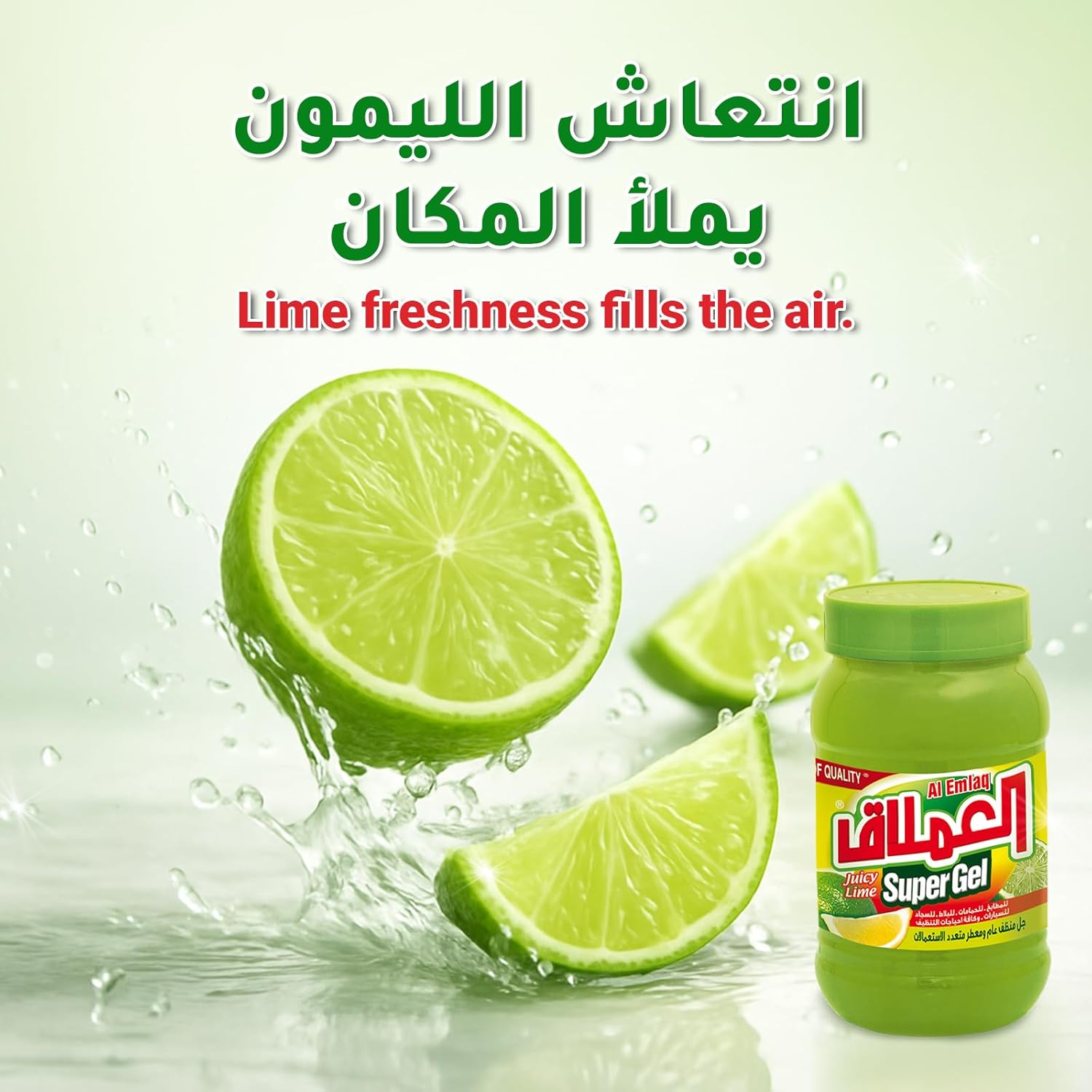 71FsNB4XKKL._AC_SL1500