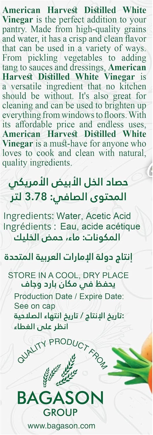 81rANEkb1L._AC_SL1500