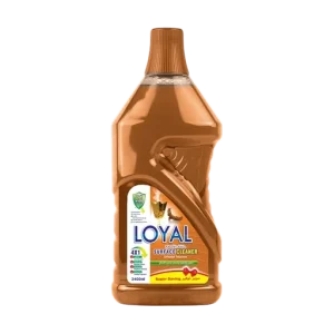 Surface Cleaners